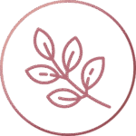 Pure Healing Homeopathy Icon - Yam Cream Application 2 - Circle