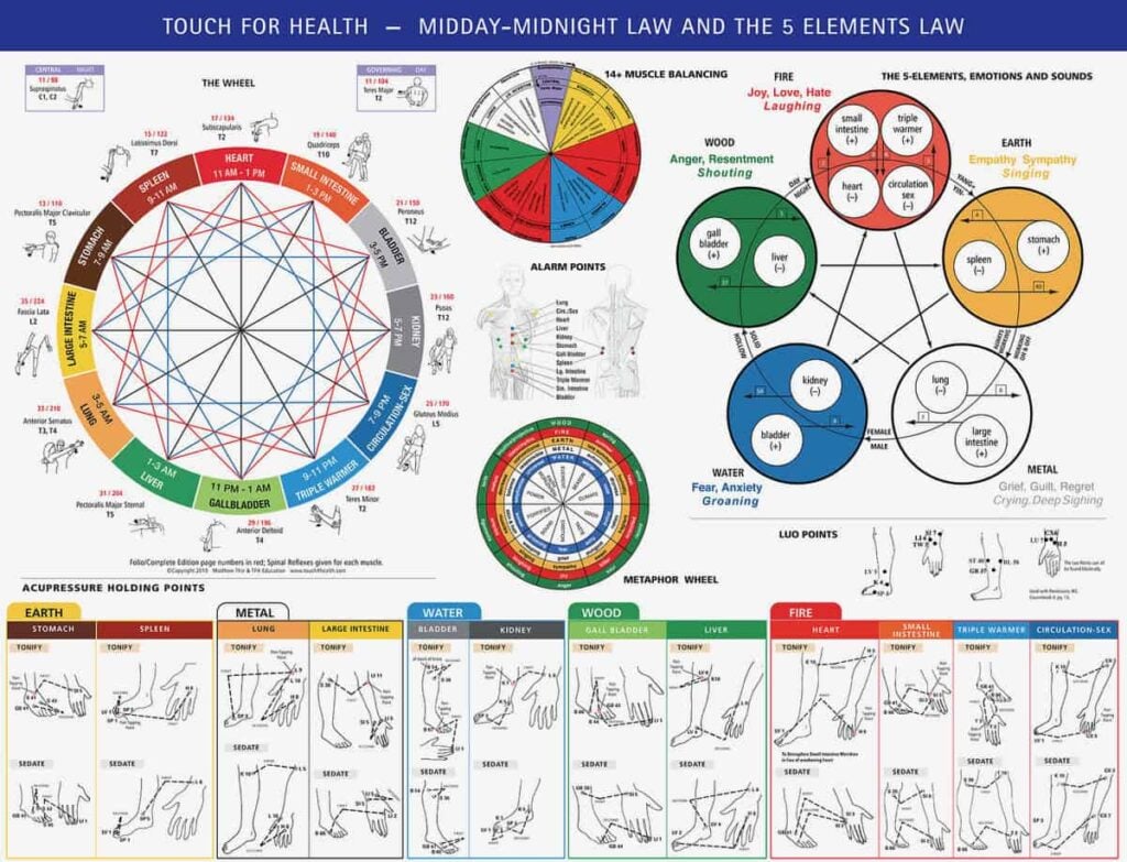 Touch for Health - Midday-Midnight Law and the 5 elements law